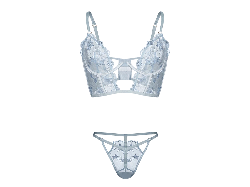embroidered lingerie embroidered lingerie